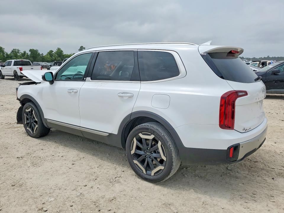 2023 Kia Telluride მანქანა იყიდება აუქციონზე, vin: 5XYP6DGC4PG344231, აუქციონის ნომერი: 51862446