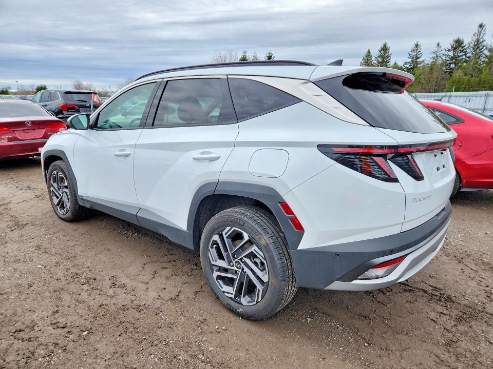 Продаж на аукціоні авто 2025 Hyundai Tucson, vin: KM8JDDD22SU328703, номер лоту: 50748646