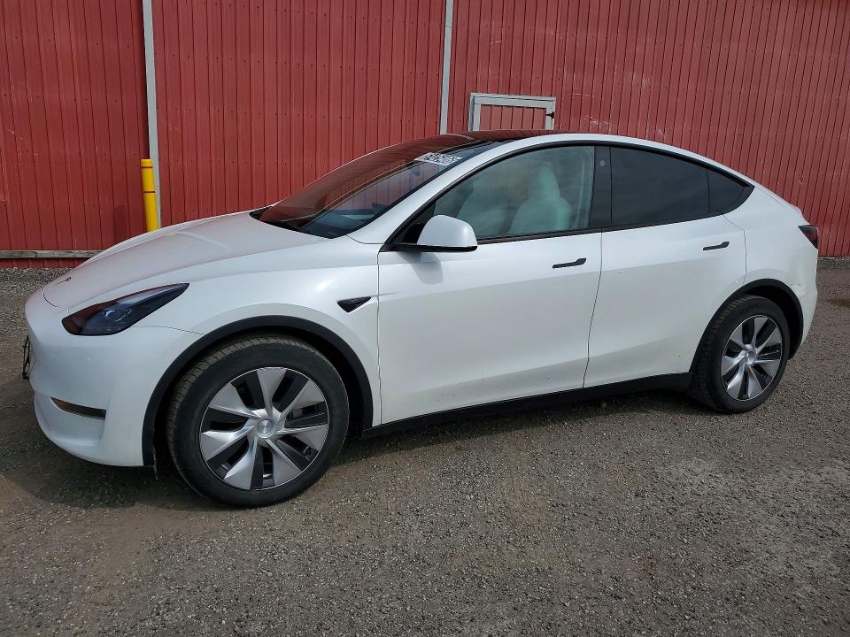 Aukcja sprzedaży 2023 Tesla Model Y, vin: 7SAYGDEE1PF772516, numer aukcji: 51425486