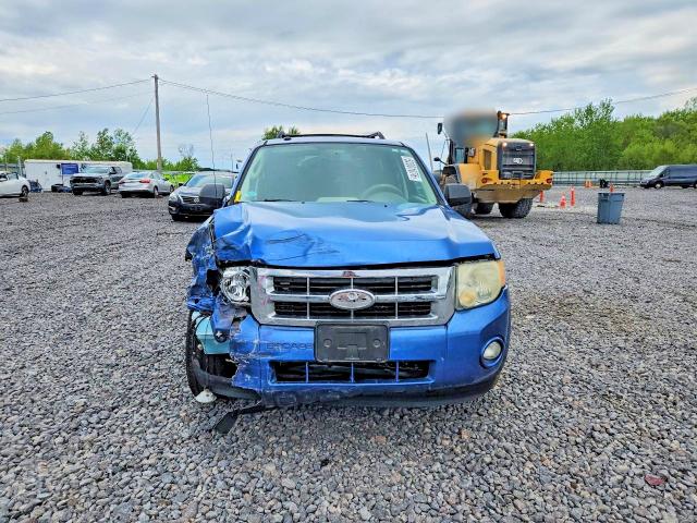 Продажа на аукционе авто 2009 Ford Escape, vin: 1FMCU03GX9KA09697, номер лота: 52001076