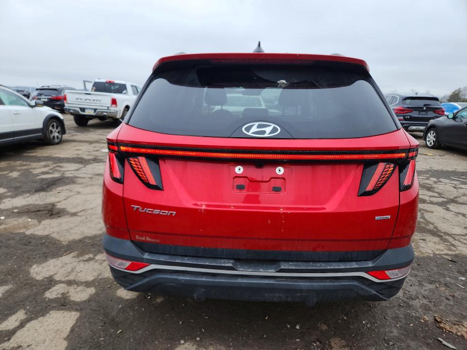 Продаж на аукціоні авто 2023 Hyundai Tucson, vin: 5NMJBCAEXPH189096, номер лоту: 48304926
