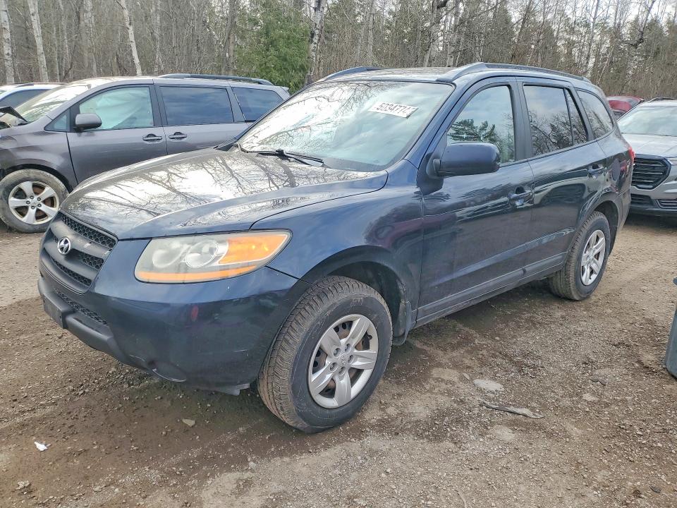 Aukcja sprzedaży 2009 Hyundai Santa Fe, vin: 5NMSG13D69H233998, numer aukcji: 50347746
