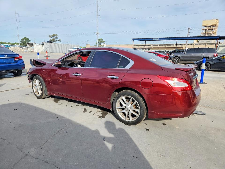 50413366 :رقم المزاد ، 1N4AA51E69C844280 vin ، 2009 Nissan Maxima مزاد بيع