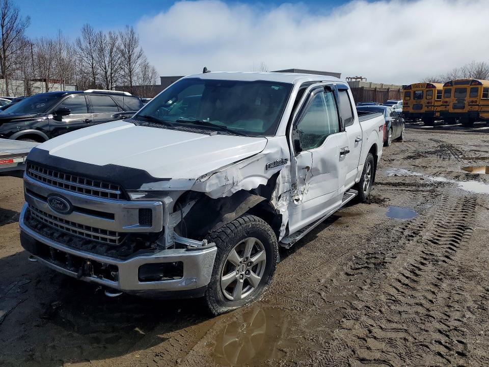 Продажа на аукционе авто 2019 Ford F150, vin: 1FTEW1EP0KKD01309, номер лота: 49437936