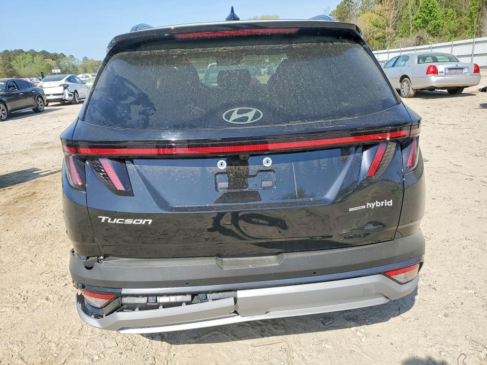 Продажа на аукционе авто 2025 Hyundai Tucson Hybrid, vin: KM8JEDD16SU379139, номер лота: 48133926