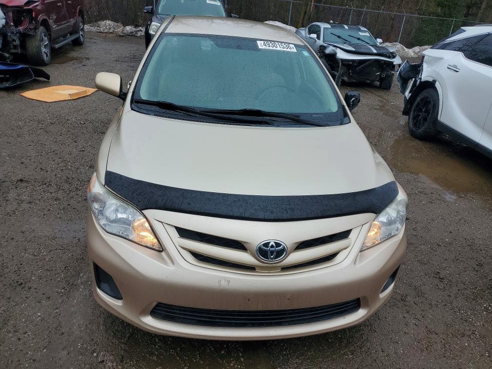 49301536 :رقم المزاد ، 2T1BU4EE6BC709503 vin ، 2011 Toyota Corolla مزاد بيع