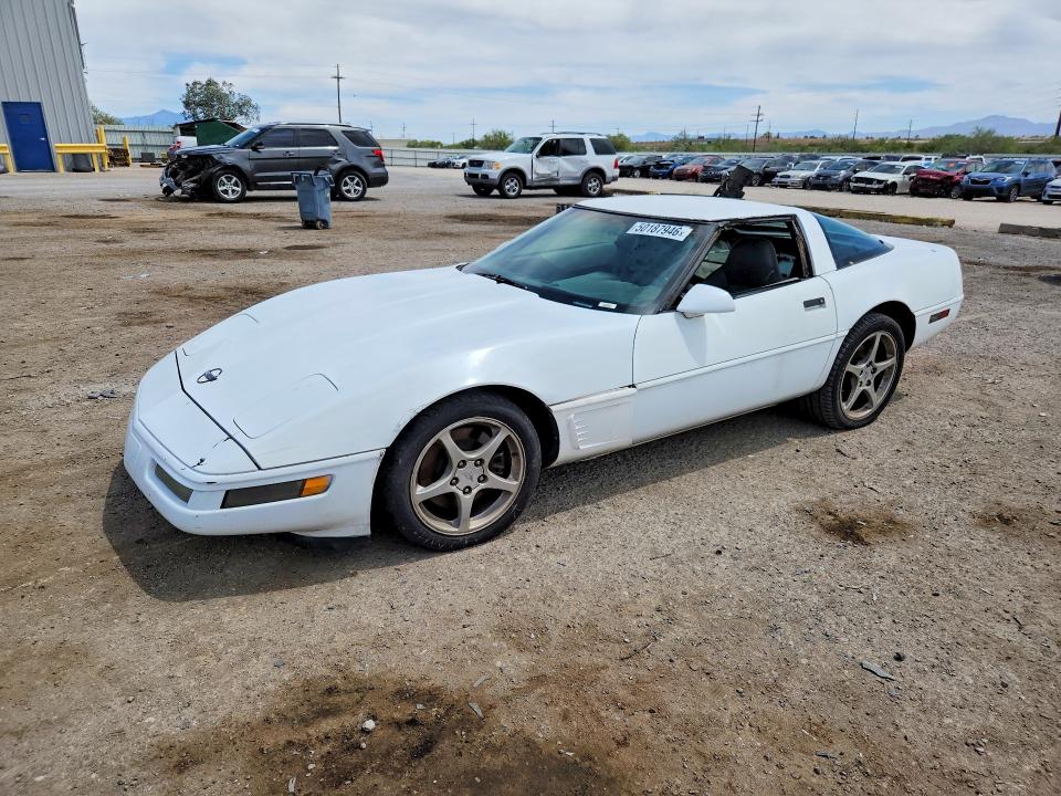 50187946 :رقم المزاد ، 1G1YY22P3T5101213 vin ، 1996 Chevrolet Corvette مزاد بيع