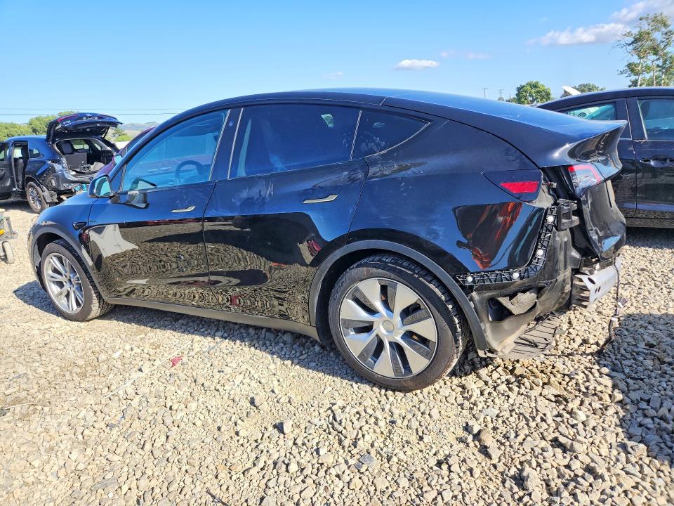 Aukcja sprzedaży 2021 Tesla Model Y, vin: 5YJYGAED4MF174032, numer aukcji: 49950076