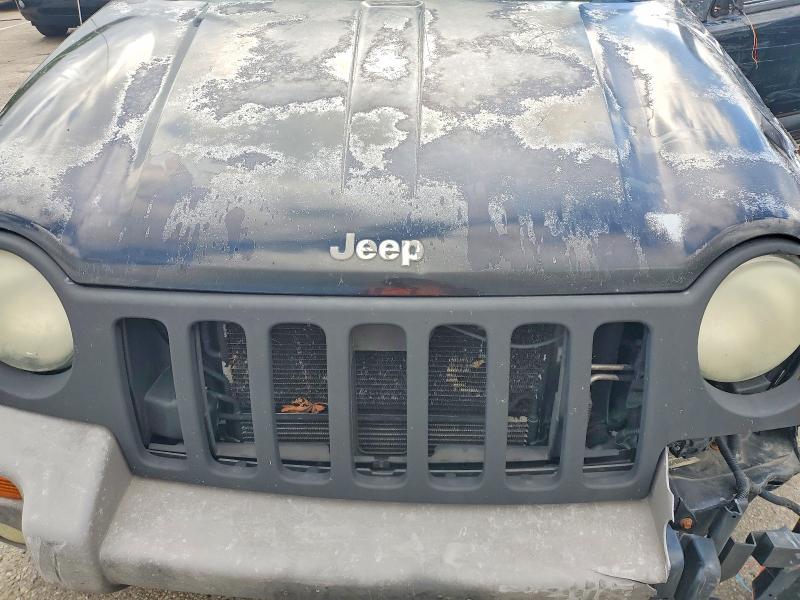 2003 Jeep Liberty მანქანა იყიდება აუქციონზე, vin: 1J4GL48K53W718304, აუქციონის ნომერი: 51408146