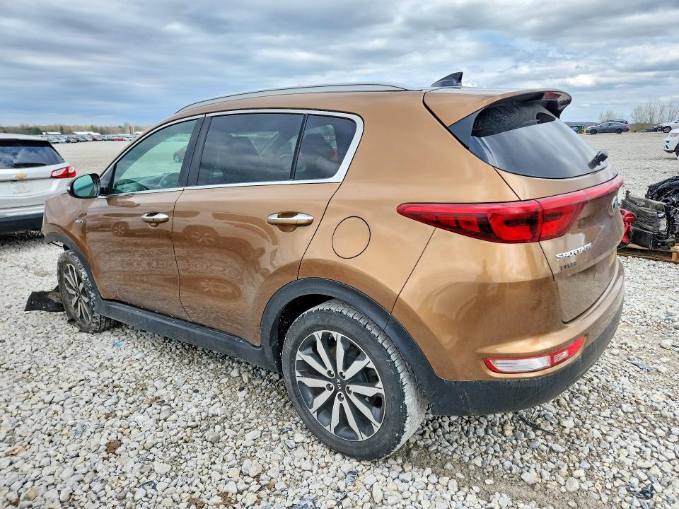 Продаж на аукціоні авто 2017 Kia Sportage, vin: KNDPNCAC9H7108534, номер лоту: 49614056