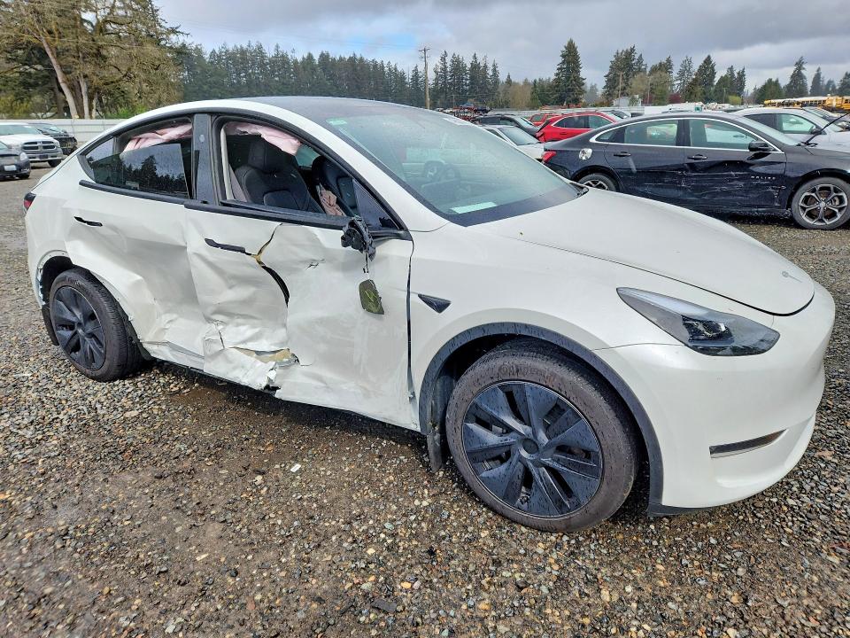Продаж на аукціоні авто 2024 Tesla Model Y, vin: 7SAYGDEE4RF190459, номер лоту: 49838876