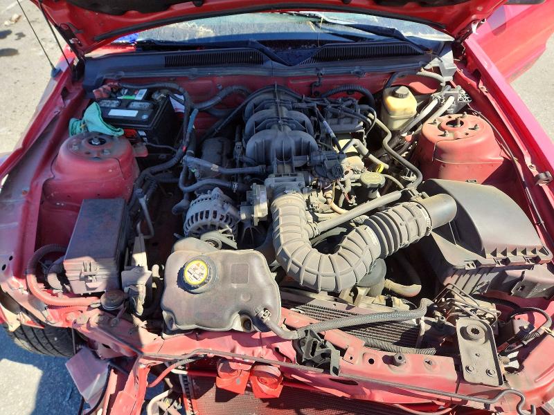Auction sale of the 2008 Ford Mustang, vin: 1ZVHT80N985207521, lot number: 49237116