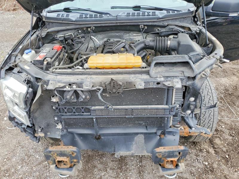 51503116 :رقم المزاد ، 1FTFW1EF3GFC91841 vin ، 2016 Ford F150 مزاد بيع