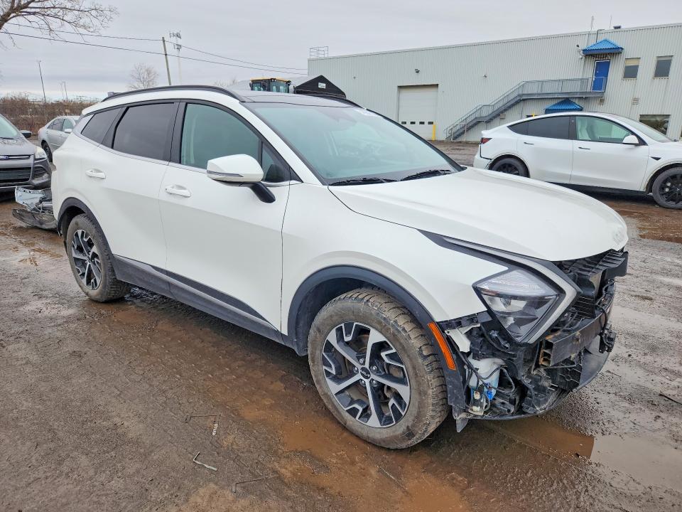 Продаж на аукціоні авто 2024 Kia Sportage, vin: KNDPVCDFXR7260006, номер лоту: 49641166