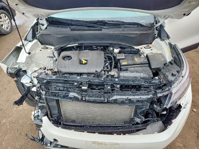 Auction sale of the 2023 Kia Seltos, vin: KNDEP2AA8P7445298, lot number: 51859406