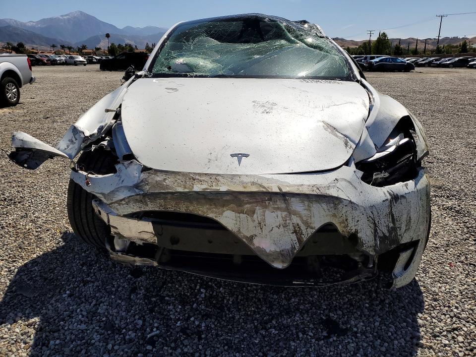 Продаж на аукціоні авто 2024 Tesla Model Y, vin: 7SAYGDEF9RF072254, номер лоту: 51581656