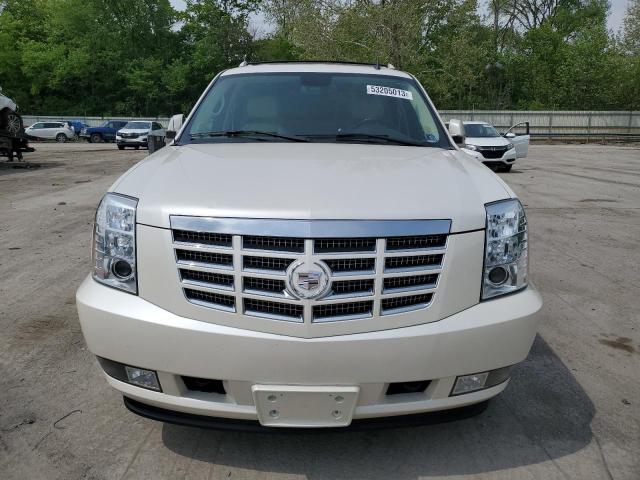 Продаж на аукціоні авто 2007 Cadillac Escalade Ext, vin: 3GYFK62827G307129, номер лоту: 53205013