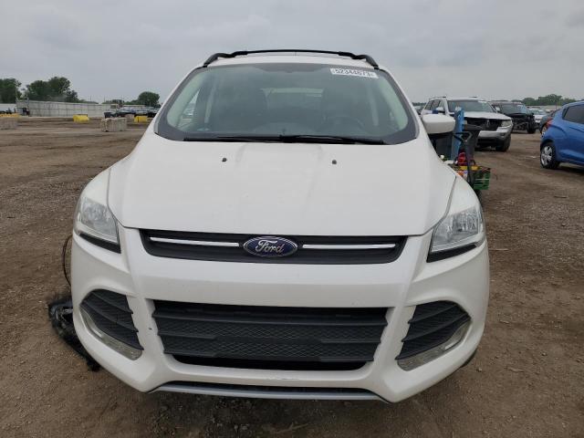 Продаж на аукціоні авто 2013 Ford Escape Se, vin: 1FMCU0GX4DUD27239, номер лоту: 52344673