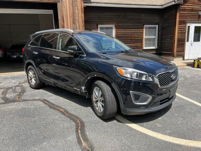 54813194 :رقم المزاد ، 5XYPGDA5XGG084392 vin ، 2016 Kia Sorento Lx مزاد بيع