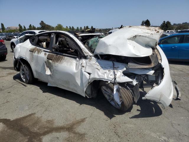 Продаж на аукціоні авто 2022 Tesla Model Y, vin: 7SAYGAEE8NF570106, номер лоту: 55890374