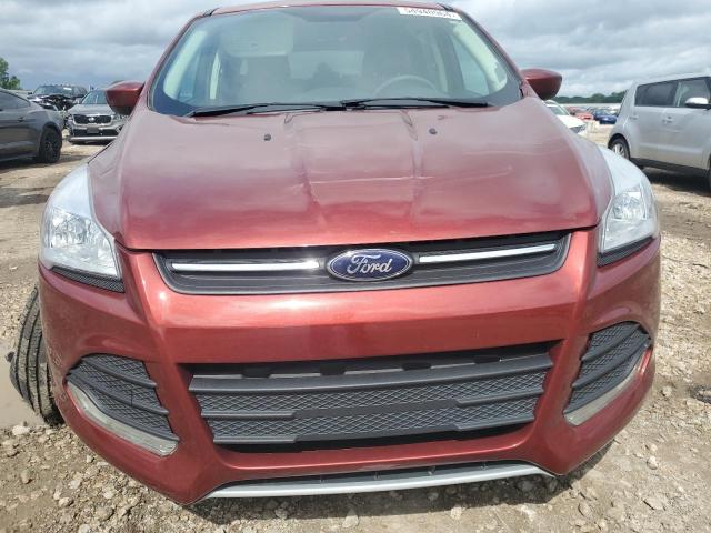 Продаж на аукціоні авто 2014 Ford Escape, vin: 1FMCU0GX7EUD24613, номер лоту: 54948964