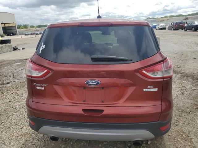 Продаж на аукціоні авто 2014 Ford Escape, vin: 1FMCU0GX7EUD24613, номер лоту: 54948964