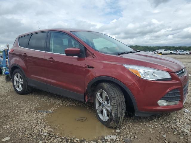 Продаж на аукціоні авто 2014 Ford Escape, vin: 1FMCU0GX7EUD24613, номер лоту: 54948964