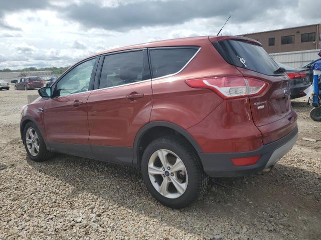 Продаж на аукціоні авто 2014 Ford Escape, vin: 1FMCU0GX7EUD24613, номер лоту: 54948964