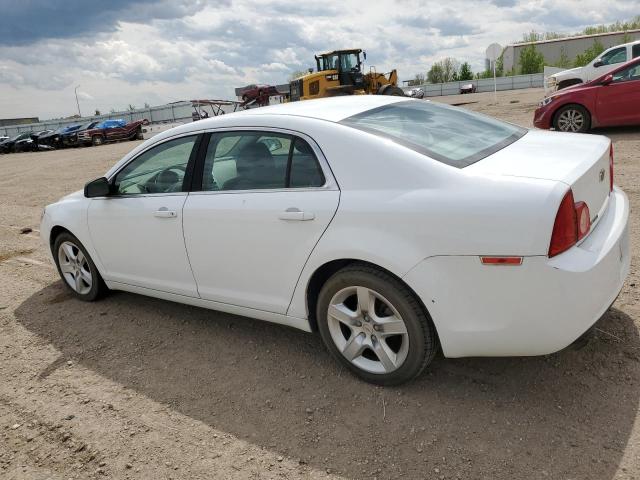2011 Chevrolet Malibu Ls მანქანა იყიდება აუქციონზე, vin: 1G1ZA5EU5BF316001, აუქციონის ნომერი: 55043404