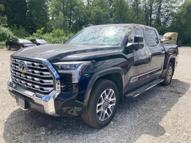 Продаж на аукціоні авто 2023 Toyota Tundra, vin: 5TFMA5DBXPX123426, номер лоту: 57347665