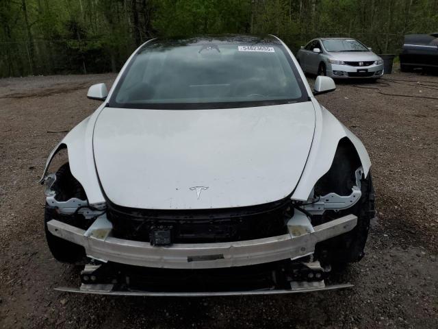 Продаж на аукціоні авто 2021 Tesla Model 3, vin: 5YJ3E1EA3MF856941, номер лоту: 54823655