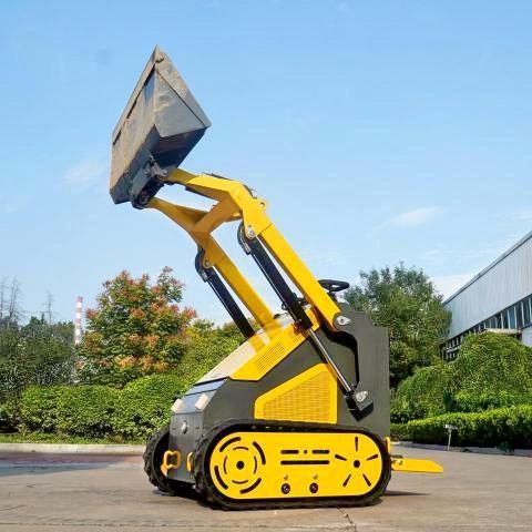 Продажа на аукционе авто 2025 Other Heavy Equipment Skid Steer, vin: 3810472, номер лота: 57626015