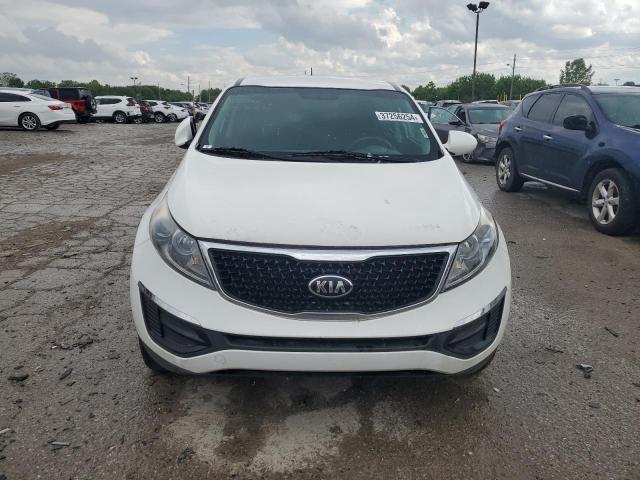 Продаж на аукціоні авто 2016 Kia Sportage, vin: KNDPB3AC3G7856848, номер лоту: 37256254