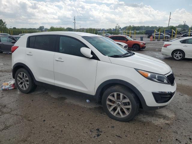 Продаж на аукціоні авто 2016 Kia Sportage, vin: KNDPB3AC3G7856848, номер лоту: 37256254