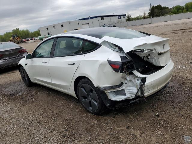 Продаж на аукціоні авто 2021 Tesla Model 3, vin: 5YJ3E1EA3MF856941, номер лоту: 54823655