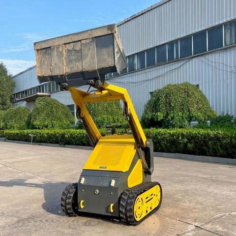 Продажа на аукционе авто 2025 Other Heavy Equipment Skid Steer, vin: 3810472, номер лота: 57626015