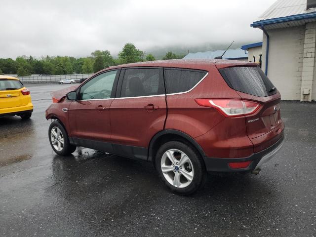 98672955 :رقم المزاد ، 1FMCU9GX2EUA02255 vin ، 2014 Ford Escape مزاد بيع