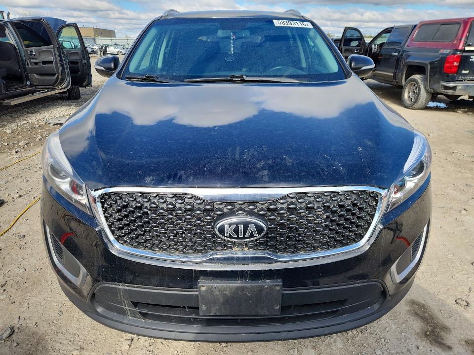 53393116 :رقم المزاد ، 5XYPGDA56GG005672 vin ، 2016 Kia Sorento مزاد بيع