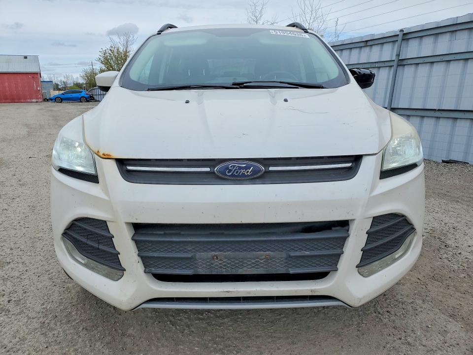 Продаж на аукціоні авто 2015 Ford Escape, vin: 1FMCU0GX0FUB83871, номер лоту: 51954636
