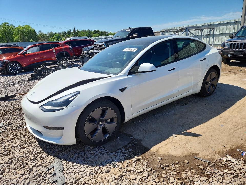 Продаж на аукціоні авто 2023 Tesla Model 3, vin: 5YJ3E1EA9PF501177, номер лоту: 54694976