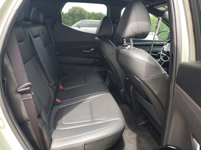 54413916 :رقم المزاد ، 5NTJEDDF2RH125515 vin ، 2024 Hyundai Santa Cruz مزاد بيع