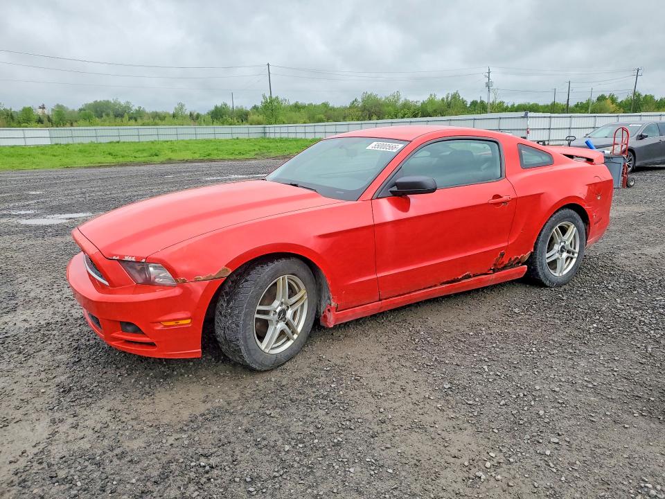 Aukcja sprzedaży 2014 Ford Mustang, vin: 1ZVBP8AM8E5244250, numer aukcji: 55000566