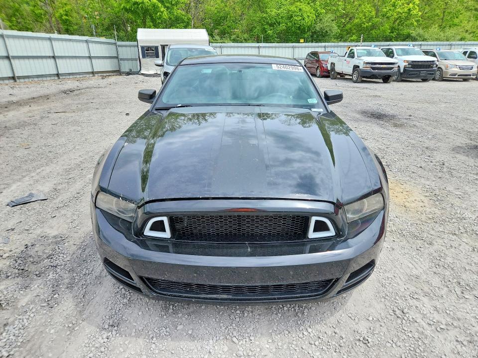 52402996 :رقم المزاد ، 1ZVBP8AM0E5254044 vin ، 2014 Ford Mustang مزاد بيع