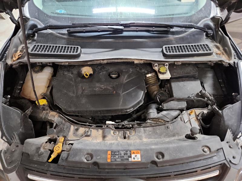 Продаж на аукціоні авто 2016 Ford Escape, vin: 1FMCU9G92GUA43246, номер лоту: 54102186