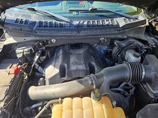 Aukcja sprzedaży 2018 Ford F150, vin: 1FTEW1EG2JKC56338, numer aukcji: 55456806
