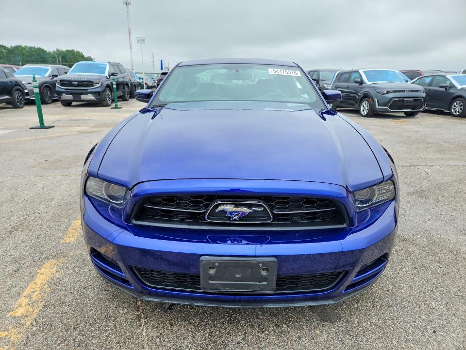 Продажа на аукционе авто 2014 Ford Mustang, vin: 1ZVBP8AM0E5226602, номер лота: 54175516