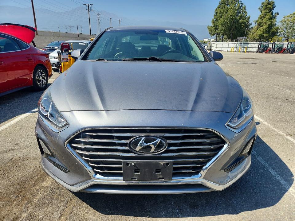 53387856 :رقم المزاد ، 5NPE24AF4KH765793 vin ، 2019 Hyundai Sonata مزاد بيع