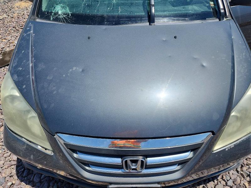 Продаж на аукціоні авто 2007 Honda Odyssey, vin: 5FNRL38467B455535, номер лоту: 52495396