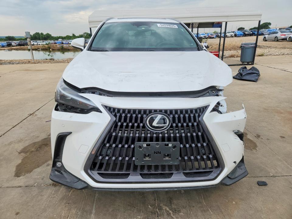 54299026 :رقم المزاد ، 2T2GKCEZ7PC010652 vin ، 2023 Lexus Nx مزاد بيع