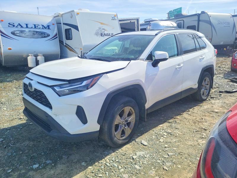 51489356 :رقم المزاد ، 2T3RWRFV5PW181728 vin ، 2023 Toyota Rav4 Hybrid مزاد بيع